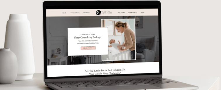 website design portfolio piece - custom design